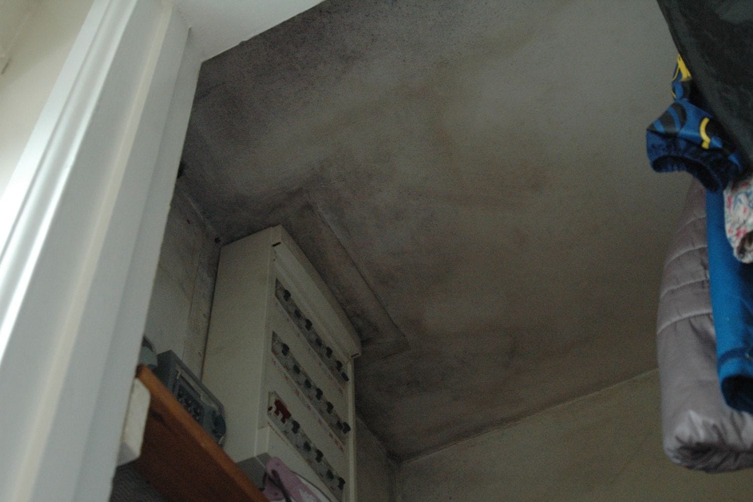 Married Quarter utility closet mould.