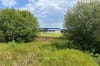 The wild-ish site, the football pitches, and beyond that, Ikea.