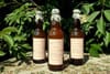 In Castleknock, an Artist Turns Her Hand to Elderflower  Cordial