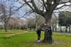 In Ringsend, Two Students Dream Big for Their Local Park