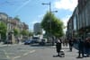 Dublin’s Trees: Summer’s Here, but Where’s the Shade?