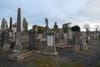 Searching for Lobo in Mount Jerome Cemetery