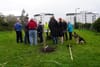 Neighbours in Inchicore Make a Start on an Urban Orchard