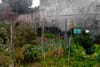 Council Briefs: Weaver Square Allotments, Plans for Cherry Orchard, and Traffic in Rathmines