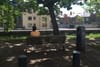 Councillors Agree Motion to Get Rid of Bench Next to Grand Canal in Portobello