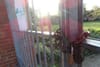 As Some Debate Whether Allotment Should Reopen, Others Continue to Plant Seeds