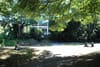 Iveagh Gardens to Temporarily Extend Opening Hours During Covid-19
