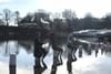 An Experimental Music Festival Set in Nature Logs On