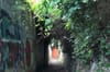 A Treasure Hunt Seeks to Tempt Ranelaghans Down Neighbourhood Lanes