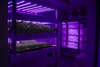 In Malahide, Two Friends Raise a Vertical Farm