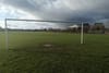 With New All-Weather Pitch Planned for Ashtown, Some Neighbours Fear Increased Flooding