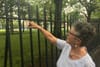 In Mountjoy Square, Disparate Visions for a Park’s Future