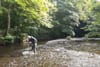 In the River Dodder He Hunts Insects and on Facebook He Helps Identify Them for Others