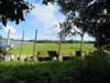 Site at St Anne’s Park Should Be Rezoned to Make Building Homes on It Easier, Recommends Council Chief