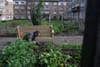 In the Liberties, Oliver Bond residents seek council backing for their community garden