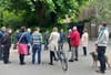 Iveagh Gardens to open more to the public this summer
