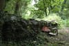 A new plan would turn the neglected Scully’s Field in south Dublin into a woodland park