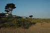Council looks at softer, nature-based ways to protect Fingal’s beaches and sand dunes