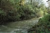 In Swords, an effort to help fish navigate the Ward River