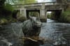 In Milltown, council considers removing beloved wading rhino from the Dodder
