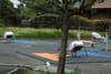 As delivery drones whirr through the skies of Dublin 15, councillors consider further regulating them