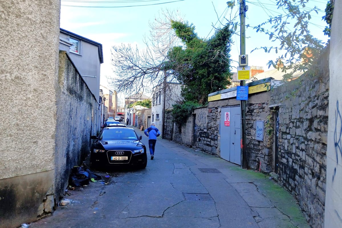 But the scheme is a success, said a council official's report, as that shows the cameras are a deterrent.