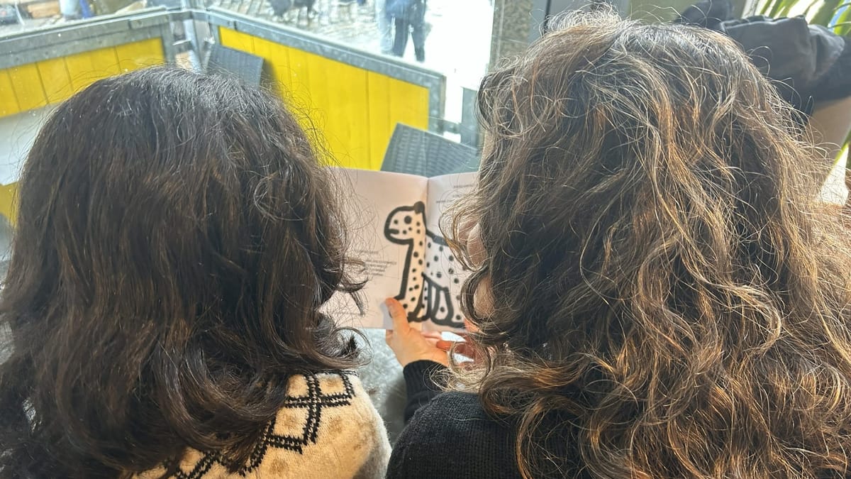 The project is part of a constellation of efforts by Dubliners with a connection to Brazil to keep their children in touch with that country’s culture.