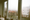 The decay of council housing becomes a photography exhibition