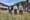 A senior citizens complex in Raheny is due to be knocked and rebuilt – but some tenants are hanging on