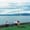 Cover image for Dublin Inquirer print edition #113