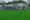 File photo of brent geese at Martin Savage Park.