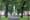 In The Tenters, Many Dogs and Little Green Space