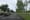 Pedestrian Crossin
