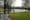 A Case of Chemicals: Who’s Been Polluting Poppintree Park?