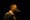 The Band That Vanished