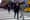 Thomas: Zebra Crossings Are the Answer