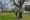 In Ringsend, Two Students Dream Big for Their Local Park