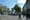 Dublin’s Trees: Summer’s Here, but Where’s the Shade?