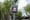 In Struggle Against Dog Poo, Council Staff Go Undercover