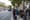 Council Briefs: Low-Emission Buses, and Getting Tough on Dog Poo