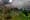Council Briefs: Weaver Square Allotments, Plans for Cherry Orchard, and Traffic in Rathmines
