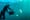 Stories from the Deep, Reviewed