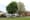 Council Asks Dubliners to Help Map the City’s Trees