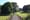 What More Could Be Done to Encourage Wildlife in the Phoenix Park?