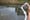 In Inchicore, a Spill into the Grand Canal Raises Fresh Concerns About the Environmental Impact of “Cable Fluid”