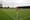 Council Edges Forward with Plans for Dalymount Redevelopment