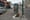 The Surprising Persistence of a Dolphin’s Barn Phone Box