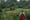 Council outlines further details of proposed major upgrades to Ward Valley Park in Swords