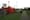 Council revises plans to redevelop Corduff Park near Blanchardstown