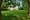 Part of Quaker burial grounds might be used to aid construction of social housing next door, council says